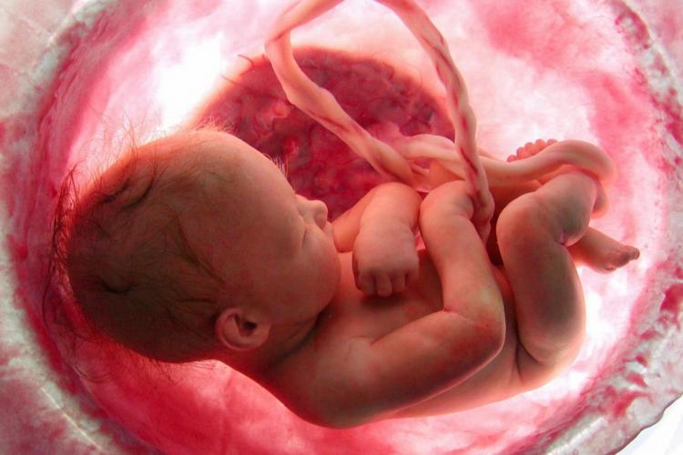 Zobacz rozwój ciąży: 9 miesięcy w 4 minuty
