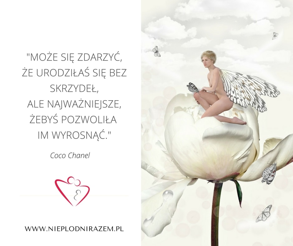 nie umawiamy się na cytaty randki online odebrać artystę