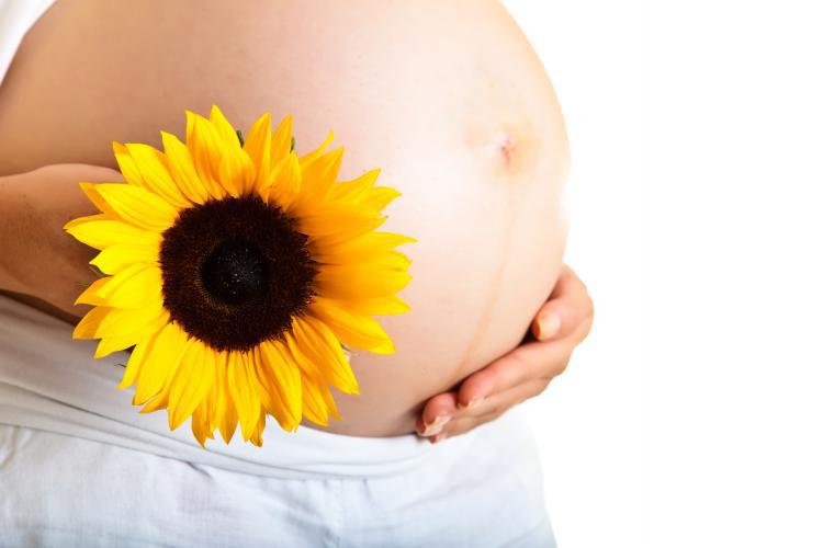 Mleczko pszczele - „Po trzech miesiącach terapii zaszłam w ciążę”. To możliwe?