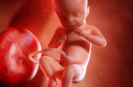 21 tydzień ciąży_rozwój dziecka