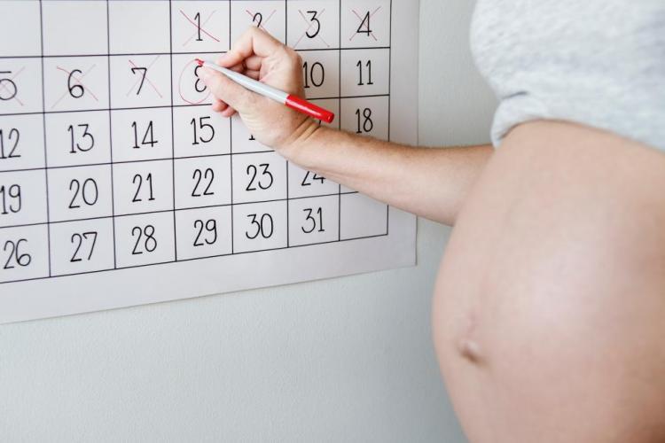 Badania w ciąży: kalendarz badań dla ciężarnych