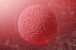 Suplementacja na dojrzewanie komórek jajowych