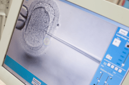 in vitro i jakość zarodków - rozmowa z embriologiem