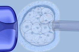 in vitro i konsultacja embriologiczna