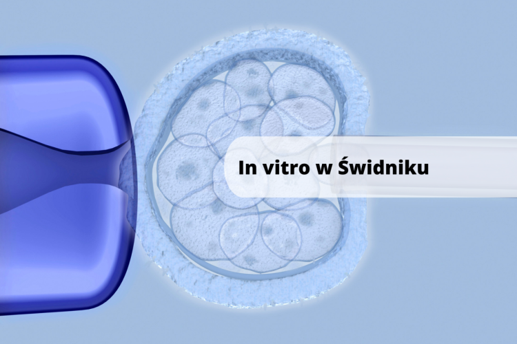 Program in vitro w Świdniku